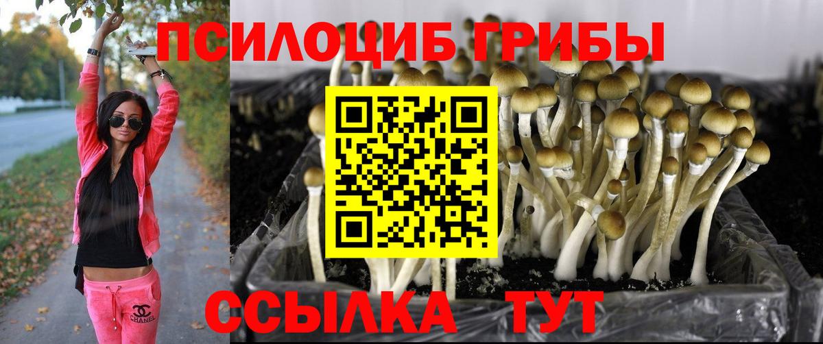 Галлюциногенные грибы Magic Shrooms Тихвин