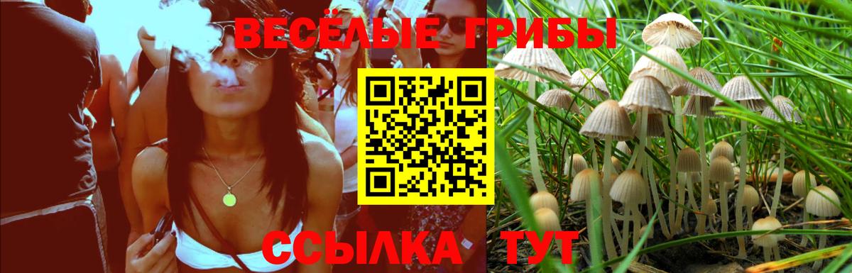 Псилоцибиновые грибы GOLDEN TEACHER  Вход с VPN  Тихвин 